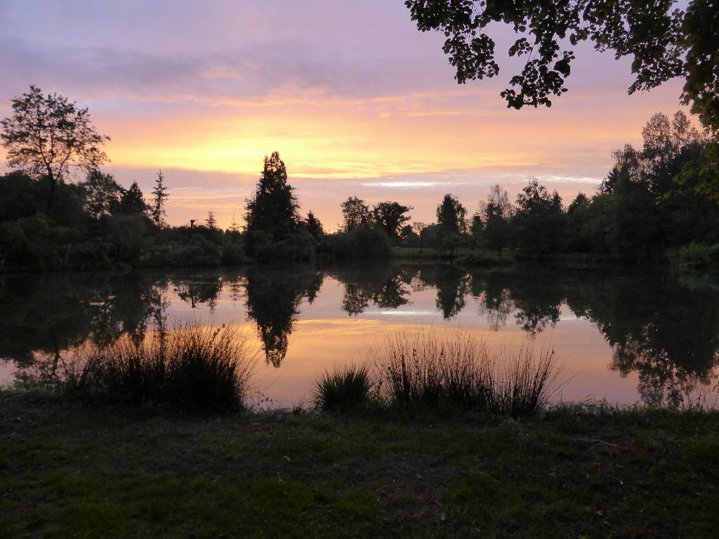 Sunrise over Woodpecker June 2016 - Fishing Lakes France